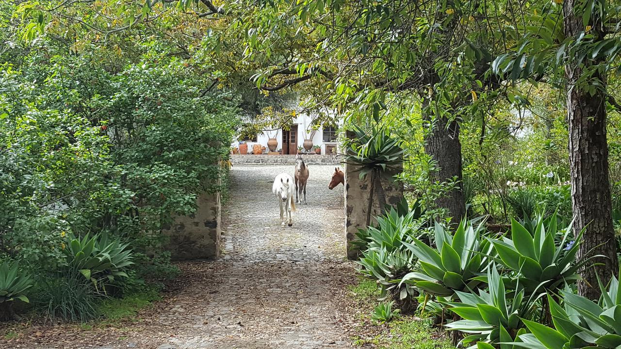Hacienda Guachala Cayambe Exterior photo